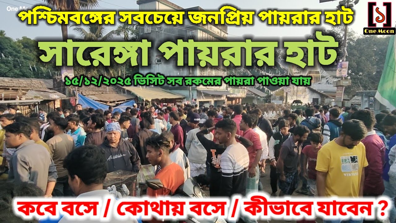 সারেঙ্গা পায়রার হাট | Cheapest Pet Market In Kolkata | Sarenga Pigeon Market 15/12/2025 Visit 