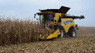 Najnowszy kombajn New Holland do zbioru kukurydzy