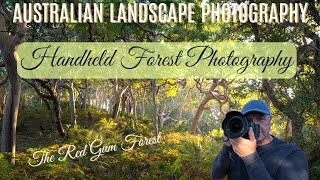 Handheld Forest Photography Tips with the Sony A7RIV - The Stunning Red Gum Forest
