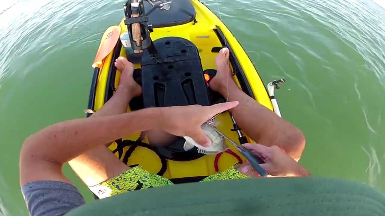 Live Bait Trick for Gator Trout YouTube