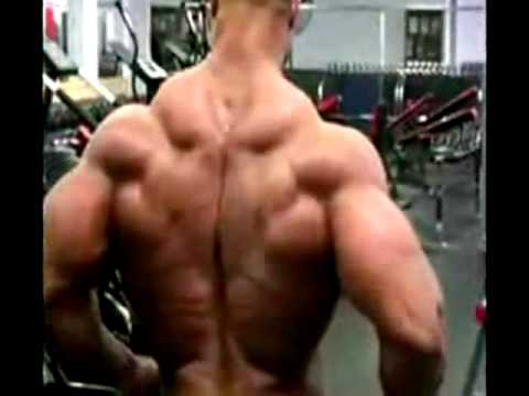 fisiculturismo bodybuilding