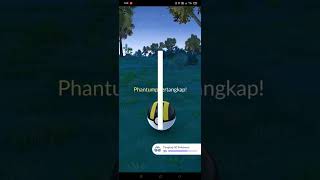 Shiny phantump✨ #pokemongo #shiny #legendaryshiny #fypreels #fyp #viral #game #gamekids #letshavefun