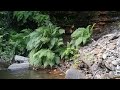 Mountain river paradise. Sierra Nevada.