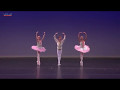 Art ballet academy   dance of the mirlitons