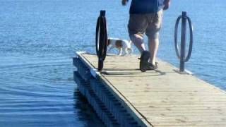 Puppies At The Lake 07.16.10 001.AVI by Rosebud64 469 views 13 years ago 3 minutes, 13 seconds