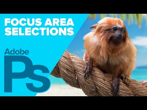 Adobe Photoshop CC