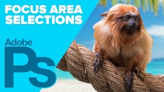 Adobe Photoshop CC 2014: Focus Area Selections