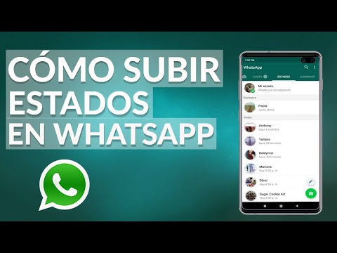 Cómo subir Estados de WhatsApp - Los Mejores Estados de WhatsApp