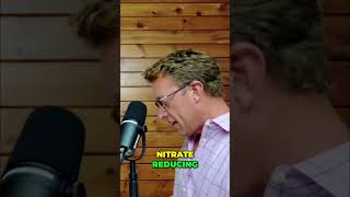 Oral Health Nitrate-Reducing Bacteria In Your Mouth Explained