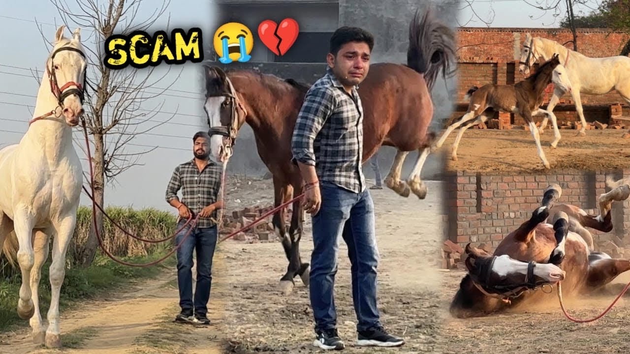 Kabhi Nahi Socha Tha Abhinetri Mere Saath Itna Bada Dhoka Karegi💔😭Scam Ho Gya 