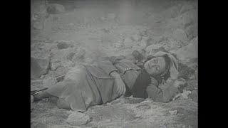 Superman 1948 1x2 Net Worth