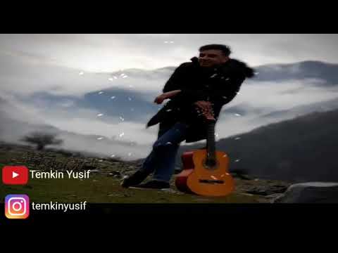 Temkinyusif- dehne (guitar cover)
