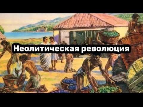Неолитическая революция