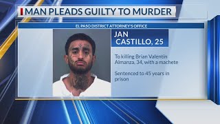 Man pleads guilty to murder, sentenced to 45 years