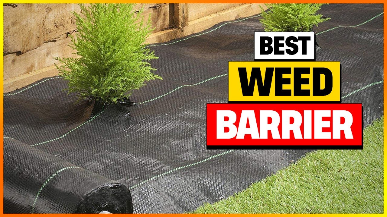 Best Weed Barrier Reviews 2024 [Top 6 Picks] YouTube