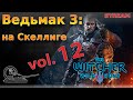 Ведьмак 3. Прохождение. vol.12