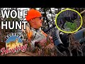 Hunter Calls In Pack of Wolves | Ontario Wolf Hunt