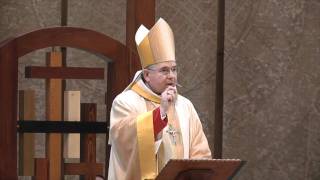 Homily: Sixth Sunday of Easter 2011