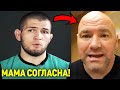 МАМА СОГЛАСНА! Хабиб проведет последний БОЙ / Кто будет соперником?!