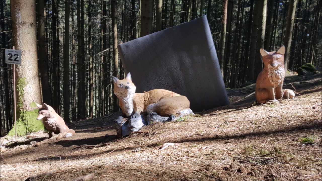 3D Bogen Parcours Test BSV Helfenberg April 2017