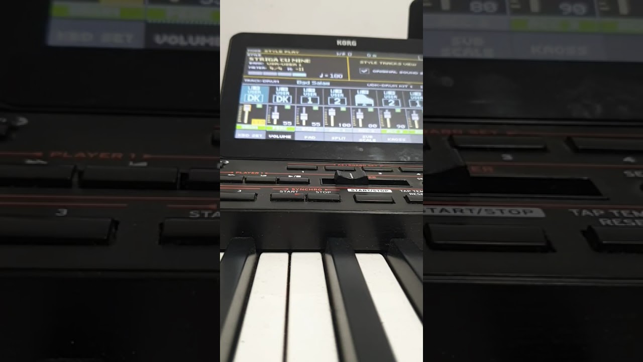 Ianuarie set 2026, korg pa4x,pa5x,pa1000, tel. 0034.643.366.509, whatssap