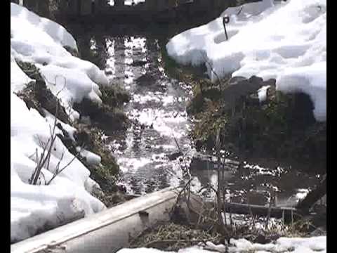 გზისა და წყლის პრობლემა სოფელ ციხისჯვარში