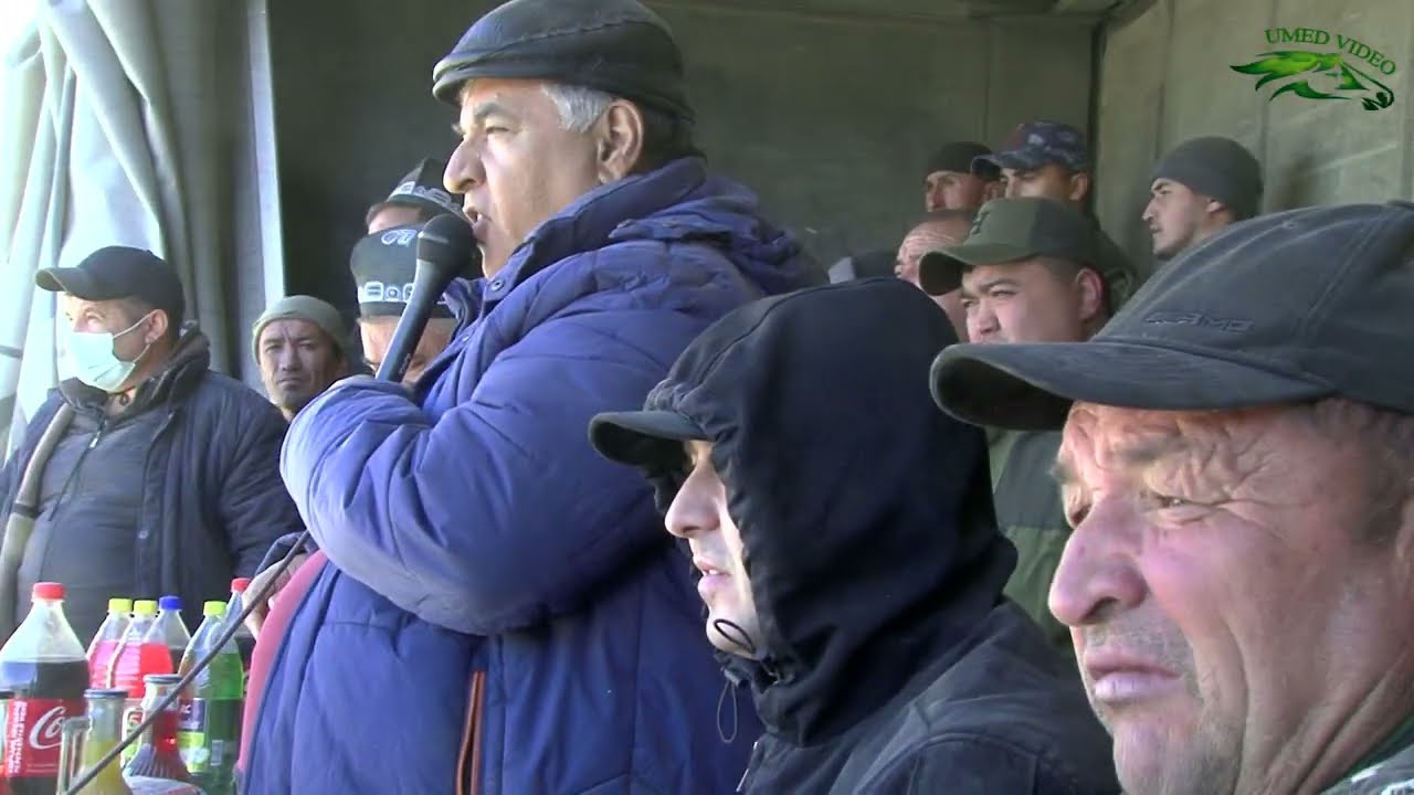Бузкашии д Киштудак 15 11 2025 кисми 1 UMED VIDEO Tajikistan zarafshon 