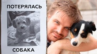 5 ПОТЕРЯННЫХ СОБАК, которые НАШЛИСЬ через МНОГО ЛЕТ! 5 ПОТЕРЯННЫХ СОБАК, которые НАШЛИСЬ через МНОГО ЛЕТ!