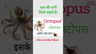 Learn 3 Sea Animals 🐬 | हिंदी + English | Kids Shorts | Kids Learning #shorts