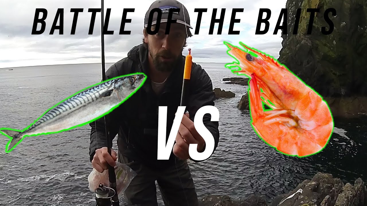 Sea Fishing UK Best Float Fishing Bait Prawn Vs Mackerel YouTube