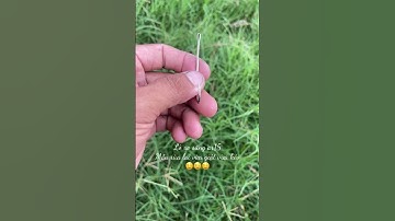 Lò xo súng ar15 mẫu vừa giật vừa kéo đánh cá hơi bị ổn nha 😻