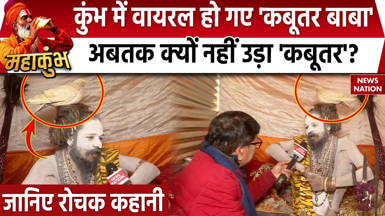 Maha Kumbh 2025: महाकुंभ में कबूतर वाले बाबा ने जमाया डेरा, संत ने बताया क्‍या है सबसे बड़ी सेवा?
