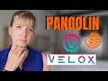 Stop Missing The Top | How To Set Limit Buy/Sell Orders with Pangolin Using Velox | WealthinProgress