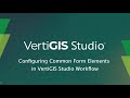 Configuring Common Form Elements in VertiGIS Studio Workflow - VertiGIS Studio Tech Tips Series