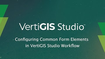 Configuring Common Form Elements in VertiGIS Studio Workflow - VertiGIS Studio Tech Tips Series