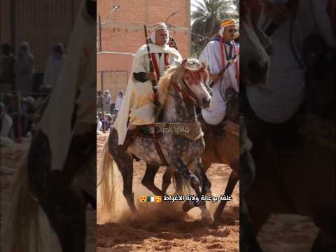 فنتازيا الجزائر لقطات نادرة من فرسان وخيول من ركب لبيض سيدي الشيخ علفة بلغابة عين تموشنت 1