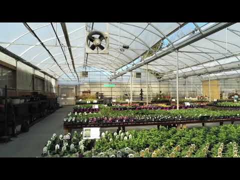 Clearview Garden Shop
