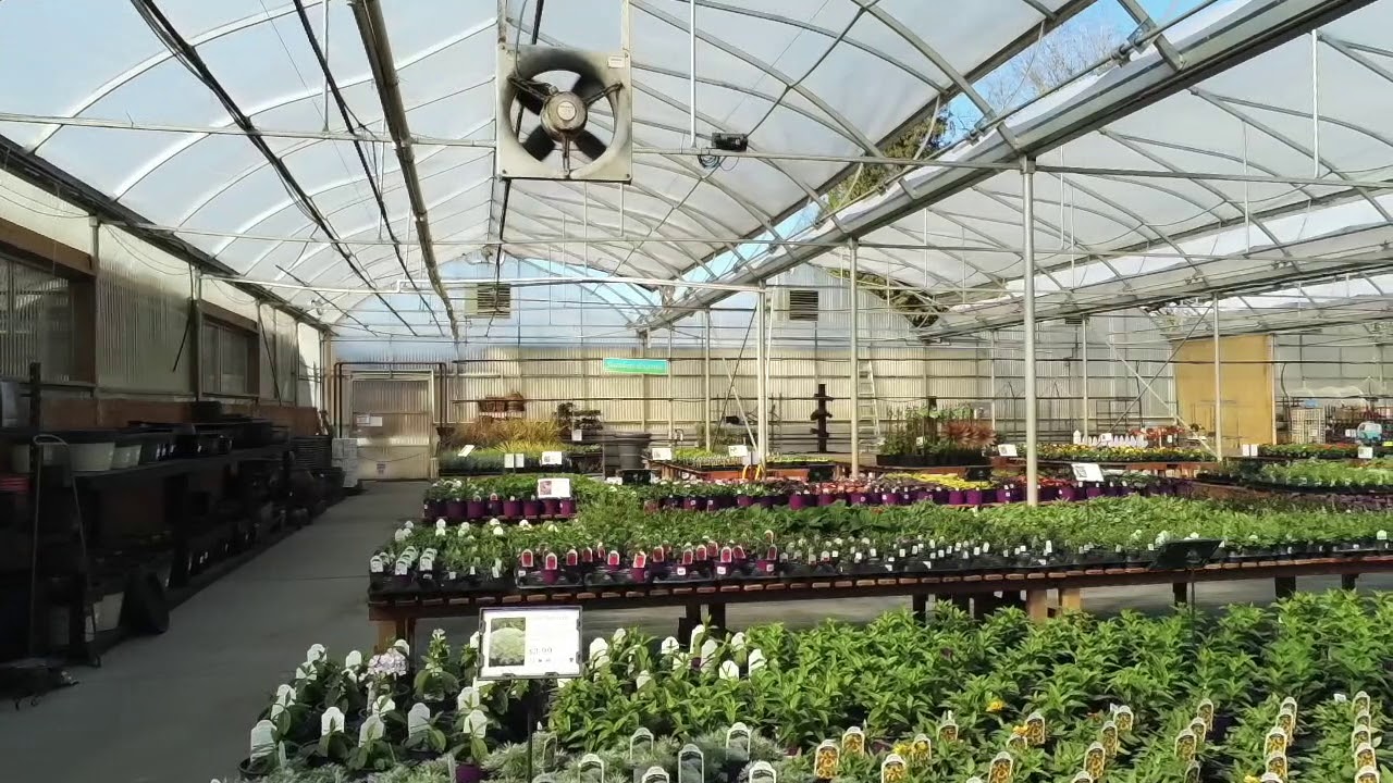 Clearview Garden Shop YouTube