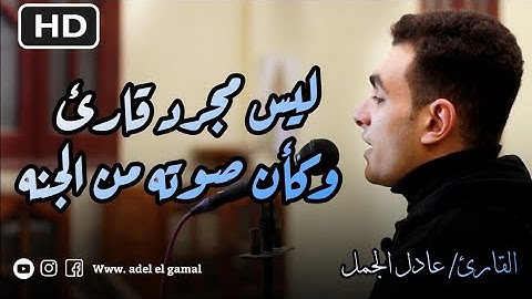 ربع ساعه من الراحة النفسية والطمأنينة للقارئ الشاب/ عادل الجمل