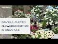 Türkiye’s botanical richness displayed with ‘Blue Beauties’ exhibition in Singapore