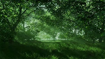 Blender Forest Eevee CGI