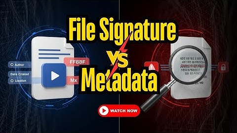 File Signature VS. Metadata  ||  Understand the difference