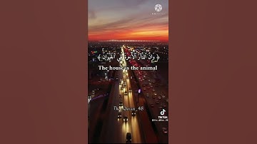 الآية 64 من سورة العنكبوت بصوت القارئ عبد الرحمن مسعد