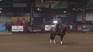 260401 NoviceHorse NP Deanna Nell on Surviving Tinsel Town