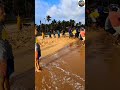 Huge Sea Catch! 🌊🐟 Fishermen Catching Tons of Fish on the Beach