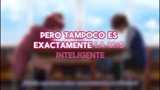 Download lagu Hatsukoi Jikan