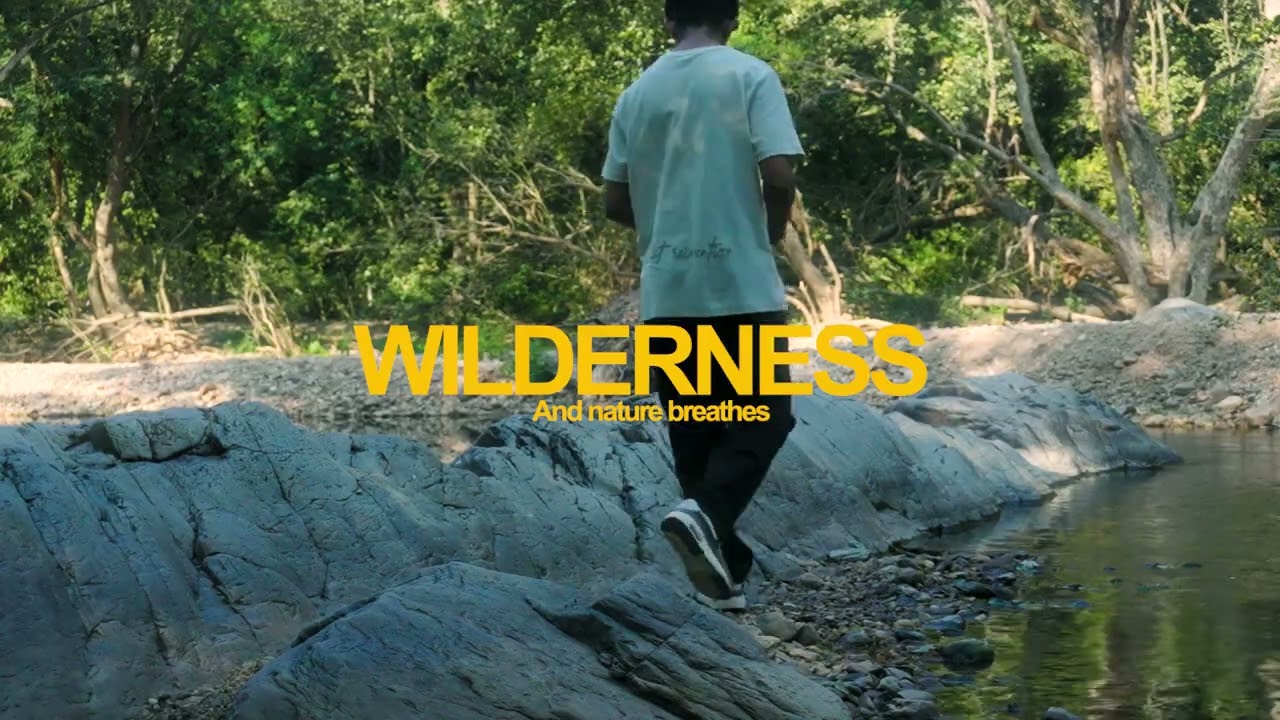 wilderness