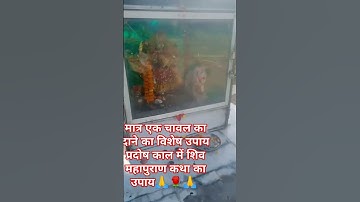Shiv Mahapuran Katha ka upay Pandit Pradeep ji Mishra Matra Ek chawal ka Dana ka Vishesh upay🙏🌹🙏