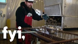 Food Factory USA: Inside an Oyster Farm | Home.Made.Nation