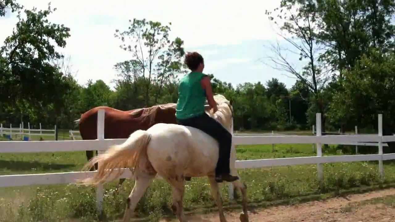 Girl falls off horse YouTube